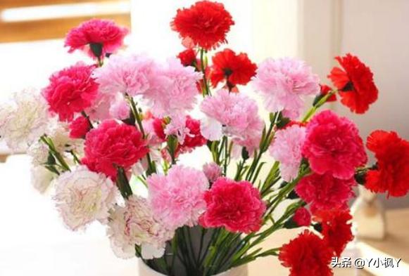 母亲节鲜花送什么(母亲节送母亲的鲜花)