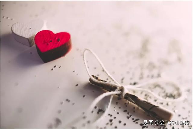 真正的格桑花图片(真正的格桑花头像)