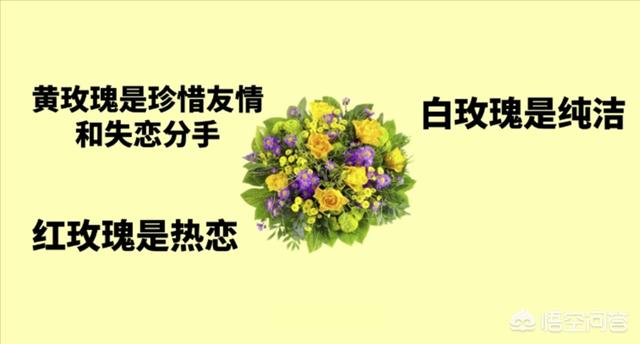 情人节最漂亮的花图片(情人节好看的花)
