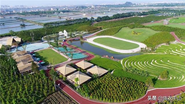 中山花木网(中国(中山)花木产业大会)