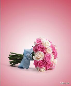 生日快乐图片鲜花_生日快乐图片简单大气