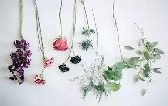 鲜花知识和插花技巧_鲜花插法有什么讲究