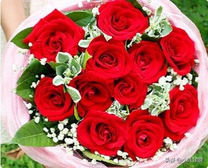 11个玫瑰花的意义_11个玫瑰花的意思
