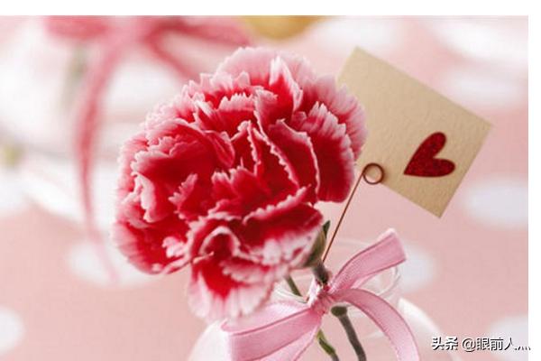 教师节送什么花最佳_教师节送什么花好一点