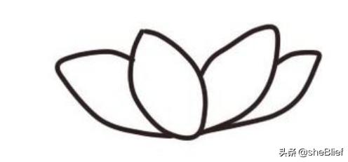荷花简笔画(荷花简笔画步骤)