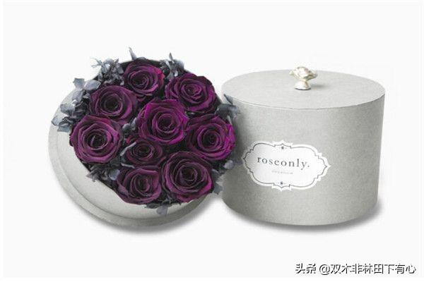 黑玫瑰的花语是啥_黑玫瑰花语的准确意思